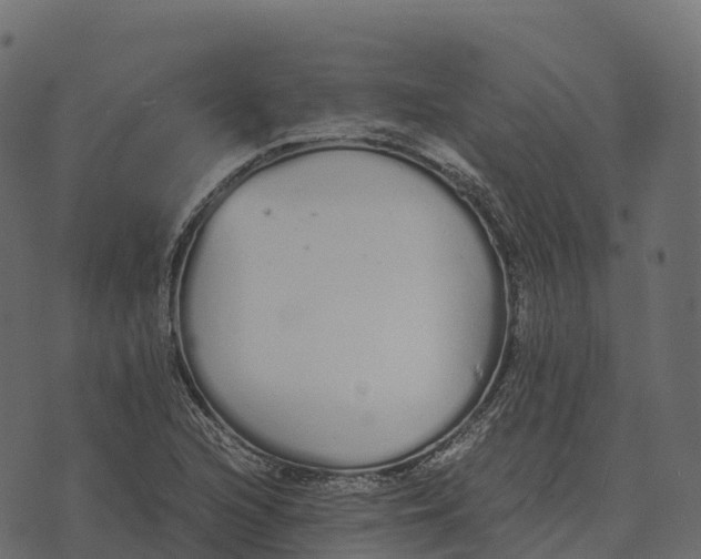 X0000073451216200608251657