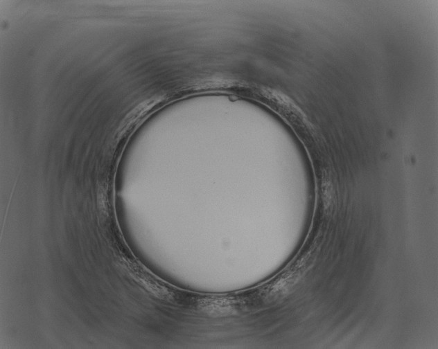 X0000073451217200608251657