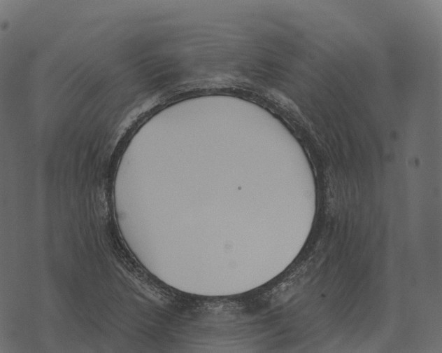 X0000073451218200608251657