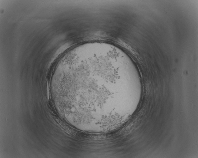 X0000073451219200608251657