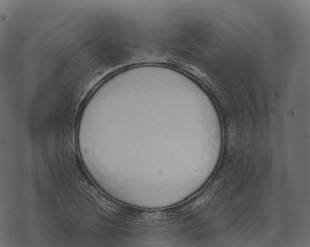 X0000073451220200608251657