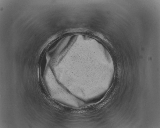 X0000073451221200608251657