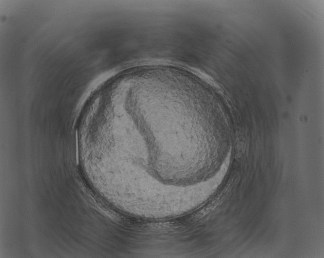 X0000073451223200608251657