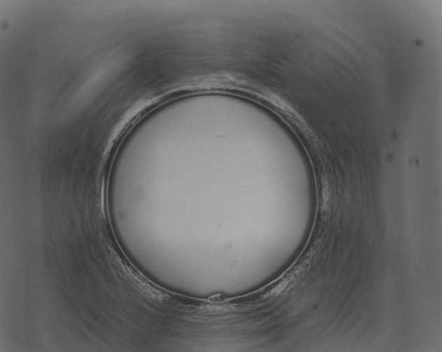 X0000073451224200608251657