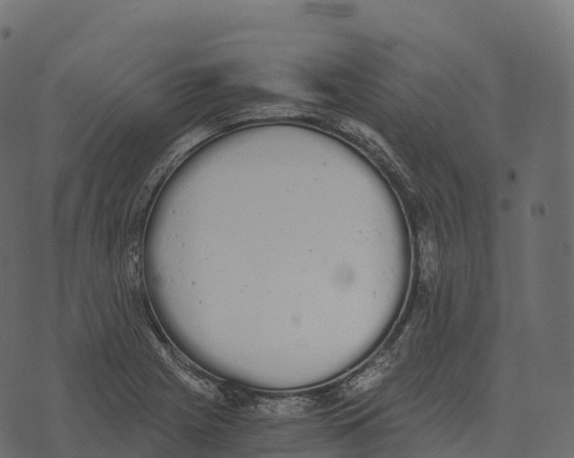 X0000073451225200608251657