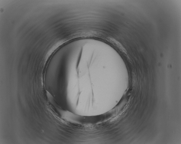 X0000073451226200608251657