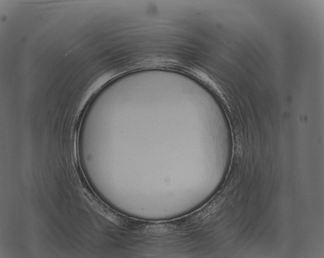 X0000073451227200608251657