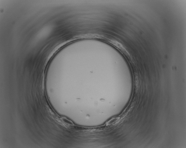 X0000073451228200608251657