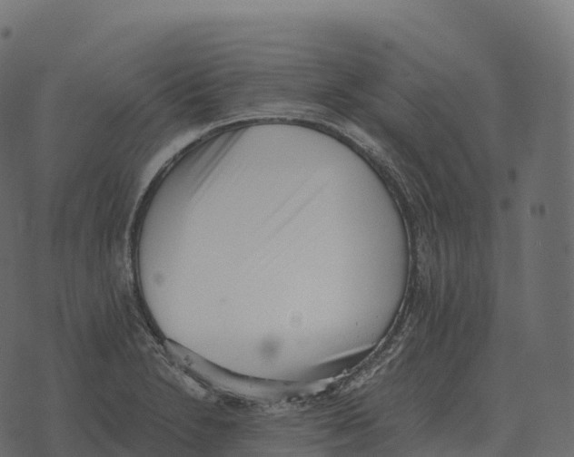 X0000073451230200608251657