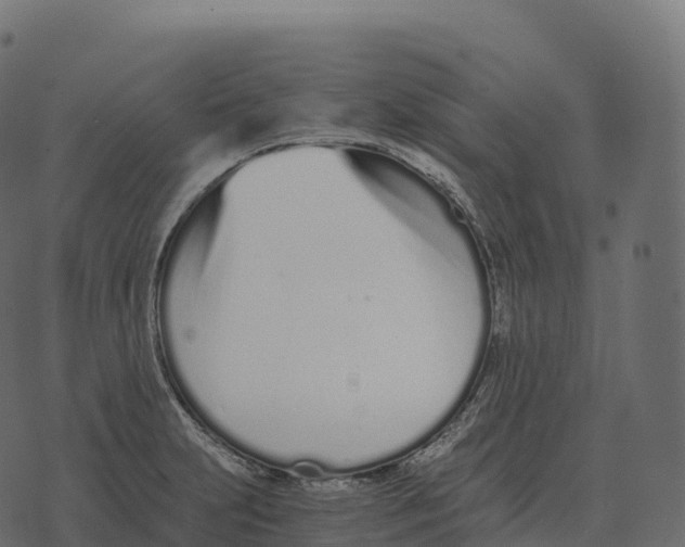 X0000073451231200608251657