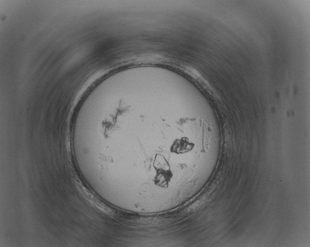 X0000073451232200608251657