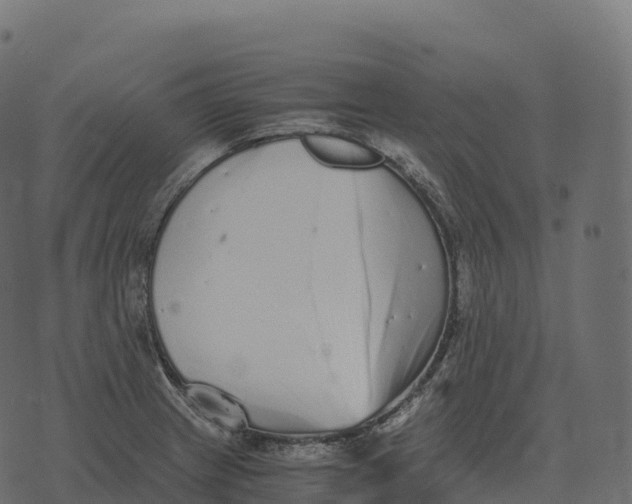 X0000073451233200608251657