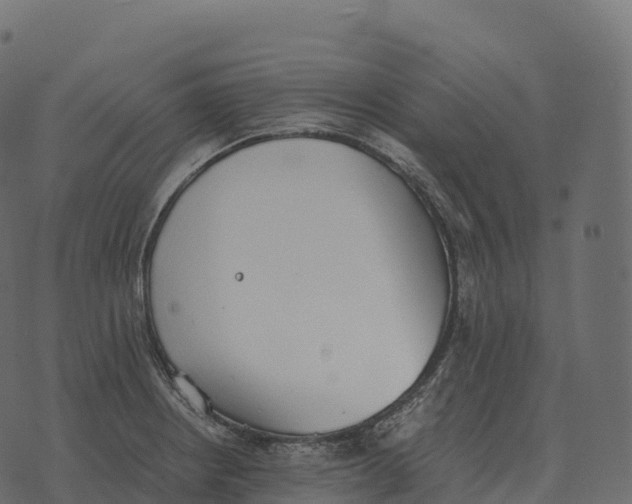 X0000073451234200608251657