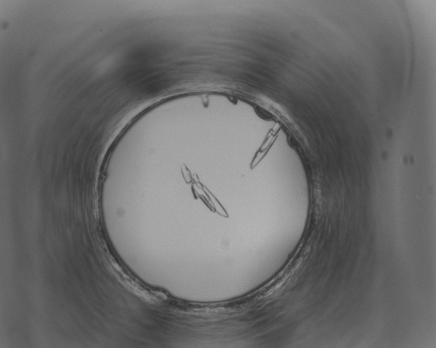 X0000073451236200608251657