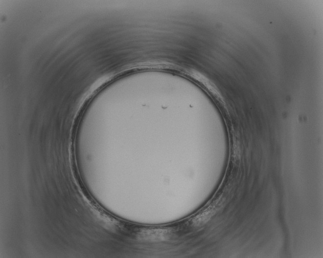 X0000073451237200608251658