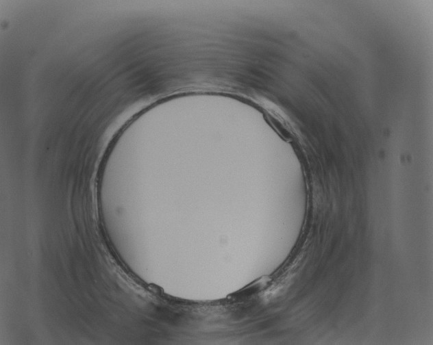 X0000073451238200608251658