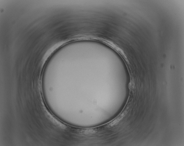 X0000073451239200608251658