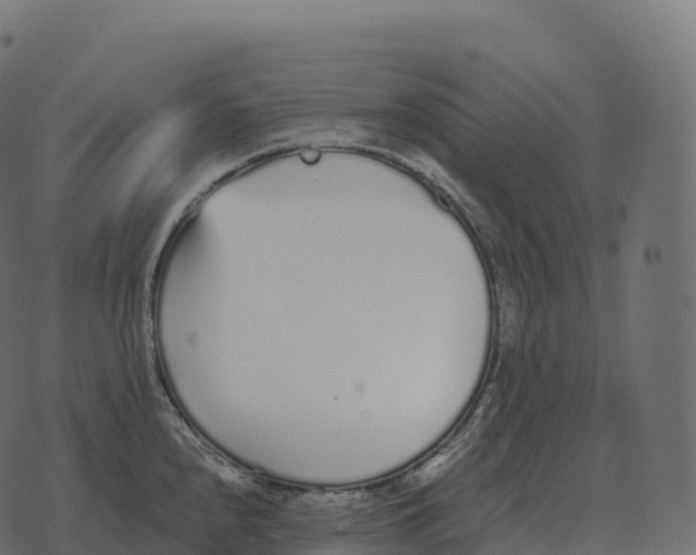 X0000073451240200608251658