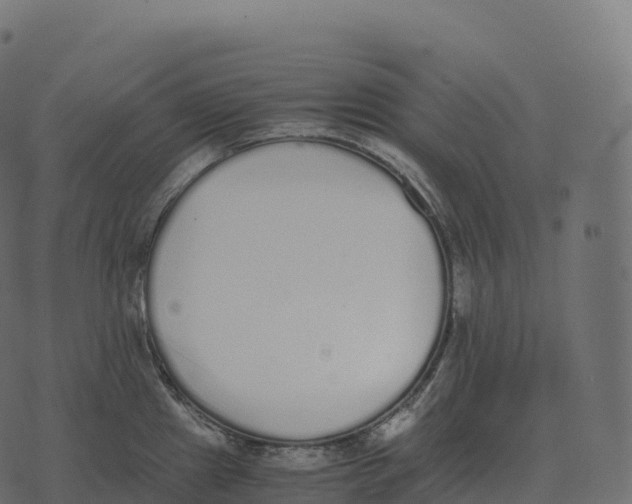 X0000073451241200608251658