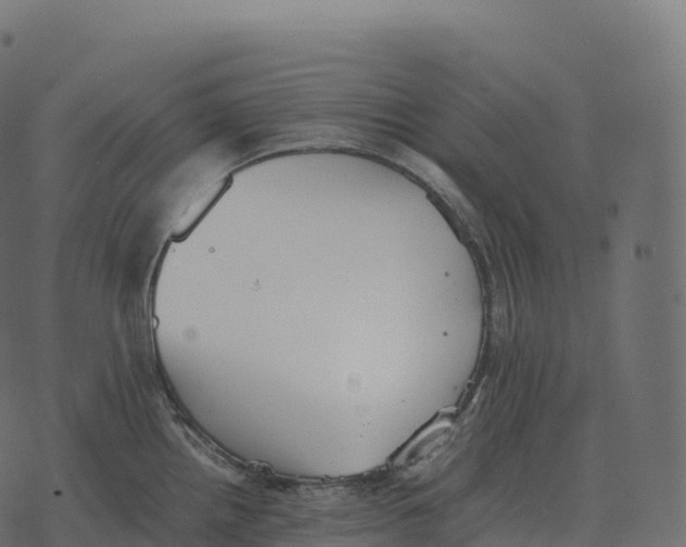 X0000073451242200608251658