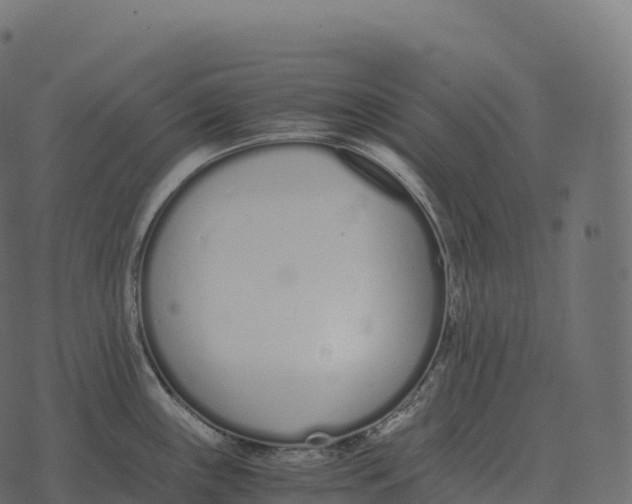 X0000073451243200608251658