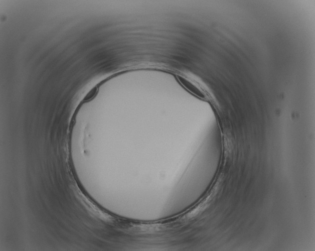 X0000073451244200608251658