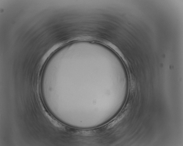 X0000073451245200608251658