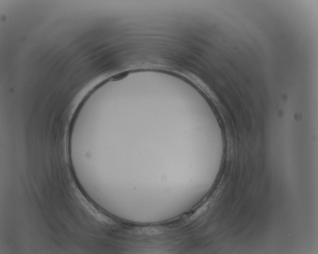 X0000073451246200608251658