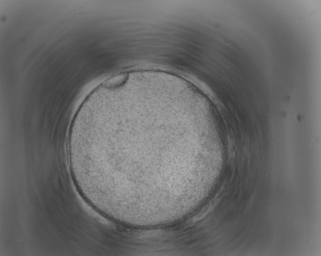 X0000073451247200608251658