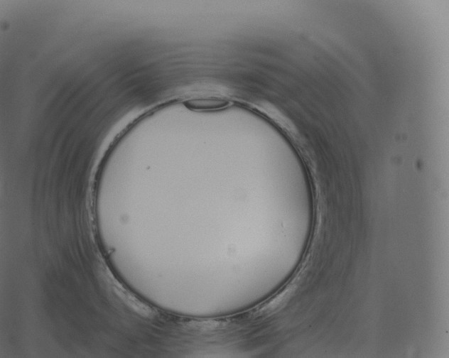 X0000073451248200608251658