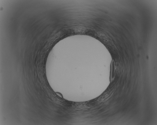 X0000073451249200608251657