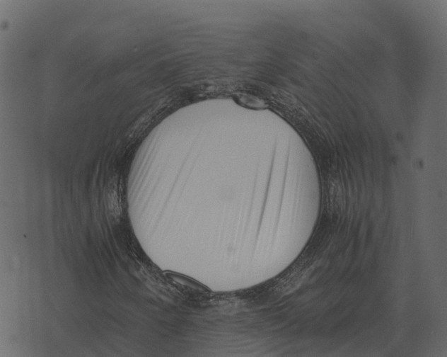 X0000073451250200608251657