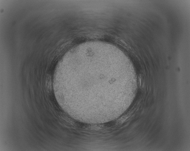 X0000073451251200608251657