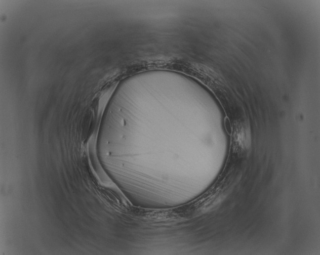 X0000073451252200608251657