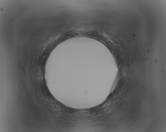 X0000073451253200608251657