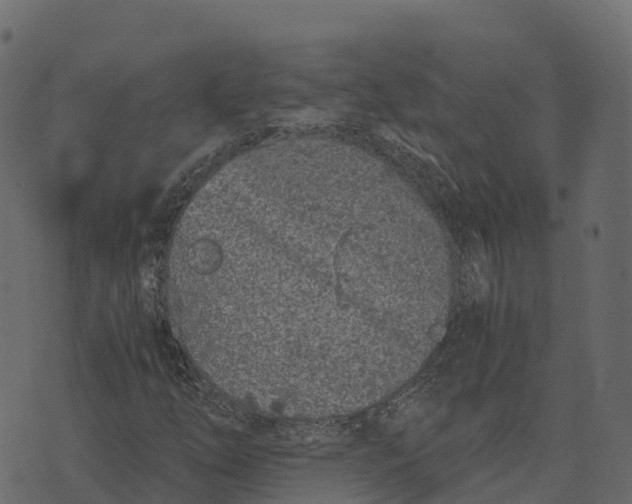 X0000073451254200608251657