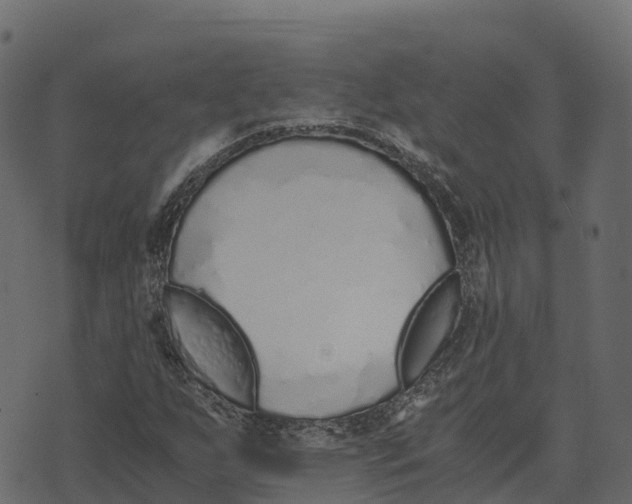 X0000073451255200608251657