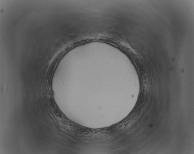 X0000073451256200608251657