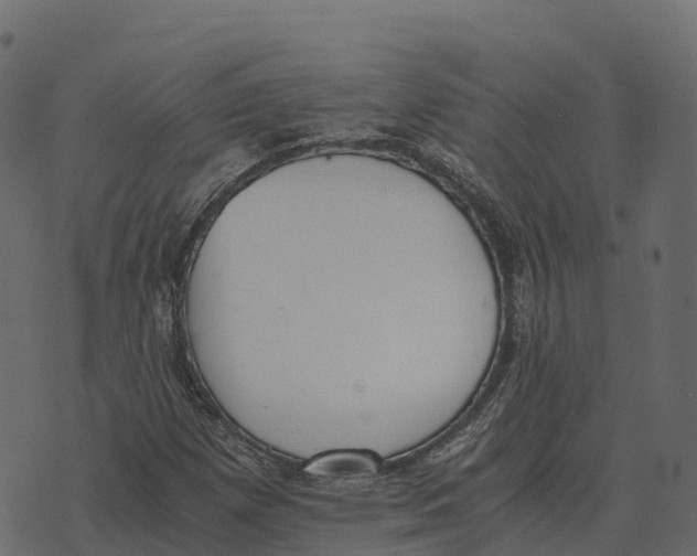 X0000073451257200608251657