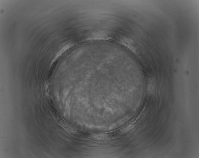 X0000073451258200608251657