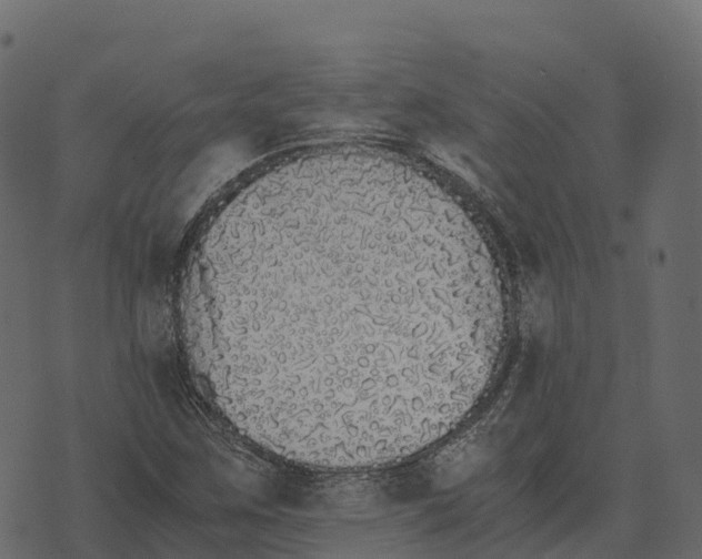 X0000073451259200608251657