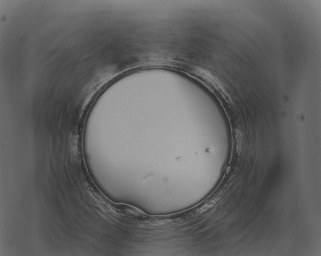 X0000073451260200608251657