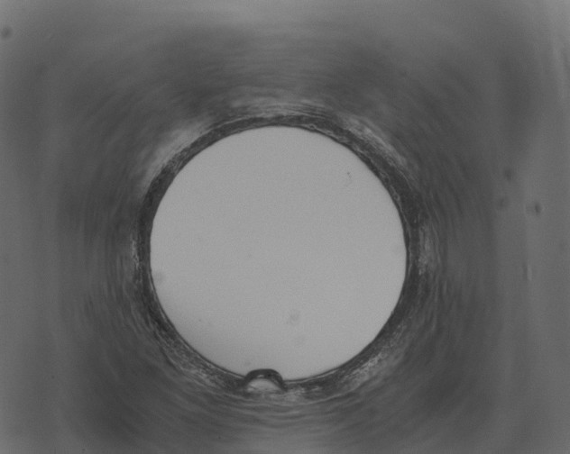 X0000073451261200608251657