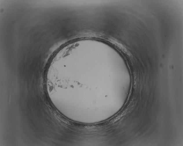 X0000073451264200608251657