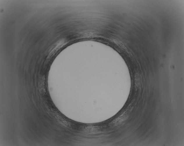 X0000073451265200608251657