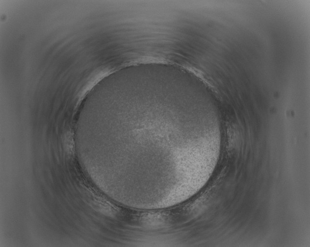 X0000073451266200608251657