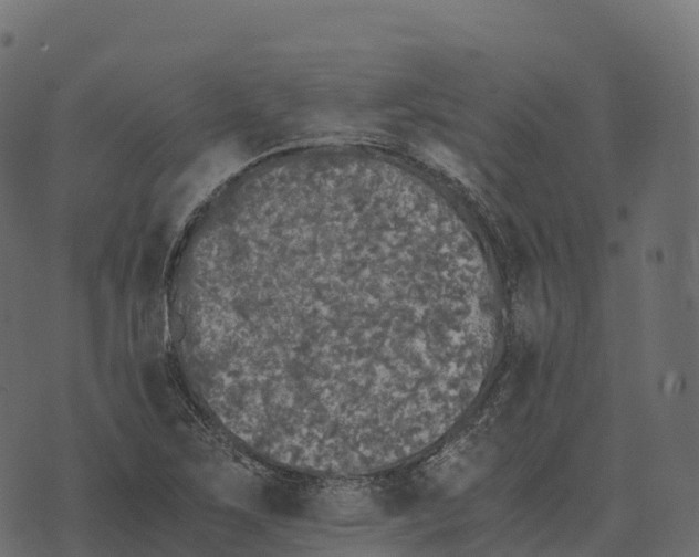 X0000073451267200608251657