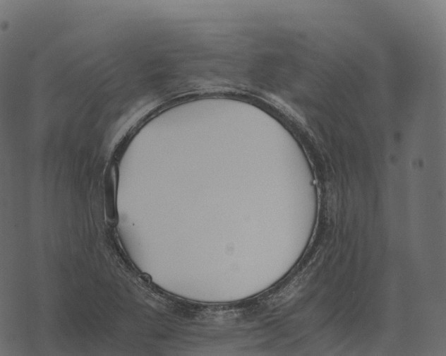 X0000073451269200608251657