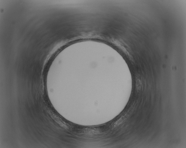 X0000073451270200608251657