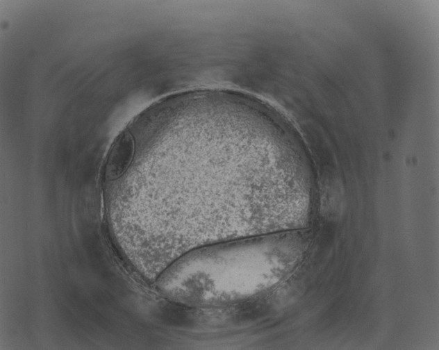 X0000073451271200608251657